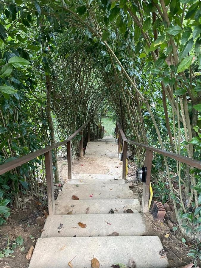 Chale Suico Holiday home *